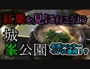 紅葉を見に行ったら警察が来た【2020関東旅行】