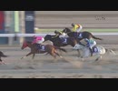 2021年1月21日大井競馬11R ’２１ウィンタースプリント(準重賞) クルセイズスピリツ
