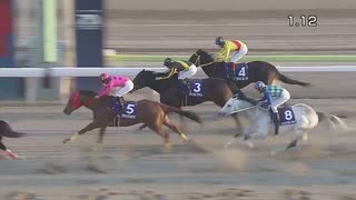 2021年1月21日大井競馬11R ’２１ウィンタースプリント(準重賞) クルセイズスピリツ