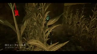 【PS4DBD】リージョン専 #48