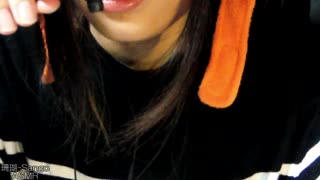 ラパタ行 珊瑚 ASMR