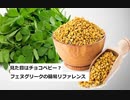 【スパイスを知ろう！】フェヌグリークを知ろう！【part52】