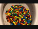 ピーナッツ味のM&M'sをトイレに流してみた１２
