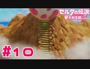 【実況】目覚めの時を待つタマゴ #10【ゼルダの伝説 夢をみる島】