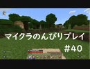 【マイクラ】のんびりプレイ #40