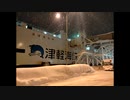 雪積もる深夜の函館をスパイクタイヤで走った