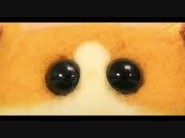 メタルバンドのための「PUI PUI モルカー」
