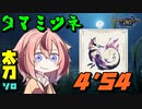 【鳴花ーずのホンキTA】タマミツネ ソロ太刀 4分54秒 《MHRise体験版》