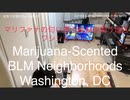 家族で時事放談ｗ　146日目　マリファナの匂い漂うBLMの集う地区 ワシントンDC/我那覇動画の魅力　　A marijuana-scented BLM district. Washington, DC