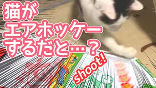 猫がエアホッケーやってみた。猫上手すぎ。