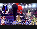【ポケモン剣盾】そら×ついの色違いガラル旅～VS.ドラゴンジム！～part19