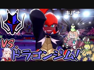 【ポケモン剣盾】そら×ついの色違いガラル旅～VS.ドラゴンジム！～part19