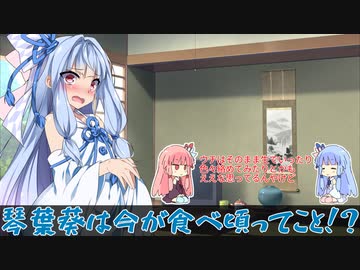 【琴葉姉妹】茜「今夜キスせーへん？」葵「」