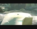 依頼を受けて、全力で女神ハイリアから逃げてみた