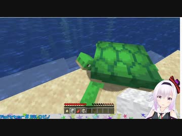 【アイドル部】シロ笛の落旗卿カルロ・ピノとカメさん