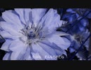 【AIきりたん】疲れたけれども