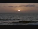 Night Traveler - Electric love (Her)