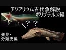 【ゆっくり解説】現生の古代魚解説　ポリプテルス編　番外編　発見・分類史【アクアリウム】