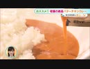 在宅ワークの味方！専門家が推す絶品レトルトカレー