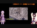【VOICEROID実況】ゆかきり釣行録 vol.1【ゆかきり】