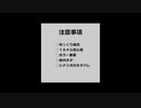 【インセイン】初めてのTRPGで予知夢(略）３