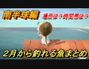 あつまれどうぶつの森　２月から釣れる魚まとめ！釣れる場所と時間帯も紹介！南半球編！　【あつ森】