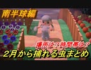 あつまれどうぶつの森　２月から捕れる虫まとめ！捕れる場所と時間帯も紹介！南半球編！　【あつ森】