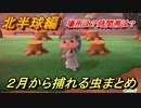 あつまれどうぶつの森　２月から捕れる虫まとめ！捕れる場所と時間帯も紹介！北半球編！　【あつ森】