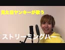 【見た目ヤンキーが】ストリーミングハート【歌ってみた】