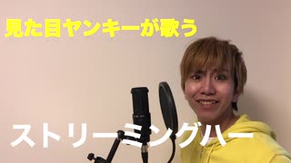 【見た目ヤンキーが】ストリーミングハート【歌ってみた】