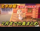 あつまれどうぶつの森　２月までの魚まとめ！場所と時間帯も紹介（北半球編）早めに釣っておきましょう！　【あつ森】