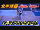 あつまれどうぶつの森　２月までの虫まとめ！場所と時間帯も紹介！（北半球編）　【あつ森】