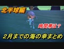 あつまれどうぶつの森　２月までの海の幸まとめ！（北半球編）早めに捕っておきましょう！　【あつ森】