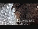 [エウレカおもろすぎぃ！]タランチュラ飼育日記その７２[サマーオブラブぅ！]