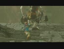 【縛り実況】再走かるしばマスモブレワイ記憶巡りと祠巡りとコログ探し編part86。【的な何か】