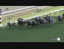【福永祐一】「前が壁」1時間耐久【作業用・睡眠用】