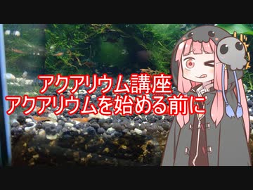 【アクアリウムVOICEROID部】死神茜ちゃんのアクアリウム講座Part0【アクアリウムを始める前に】