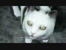 【初見】仁王（無印）を買ってみた【第４戦】