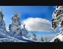 雪が降ったら…やりたかったんだ…