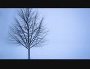 雪風／Auzenismo