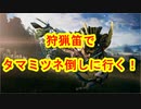 狩猟笛でタマミツネ倒しに行く！【モンスターハンターライズ体験版】
