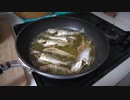木曽川セイゴとハゼ釣り　小さいセイゴに癒されました。