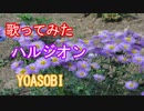 【歌ってみた】ハルジオン/YOASOBI