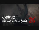 CoDWWⅡ the merciless field: 26