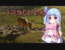 【theHunter:CotW】ハンター葵と猟犬茜＃2【琴葉茜・葵】