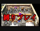 【ドラクエ5 縛りプレイ】フリーズして失った分取り戻すぞ！Part60【アルカリ性】