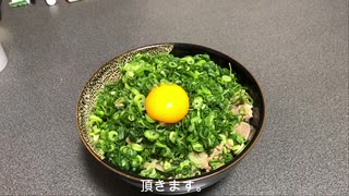 ネギ大盛のプルコギ丼つくってみた