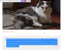 ＡＩになろう小説書くのを手伝ってもらったらカービィの話になった