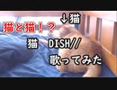 猫と猫！？　猫/DISH// 歌ってみた【かいくん】