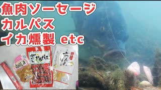 【魚肉ソーセージ】鯉は酒のおつまみが食わせ餌になる【水中映像】